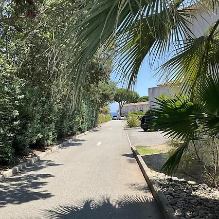 Cosy Avec Wifi En Bord De Poggio Mezzana