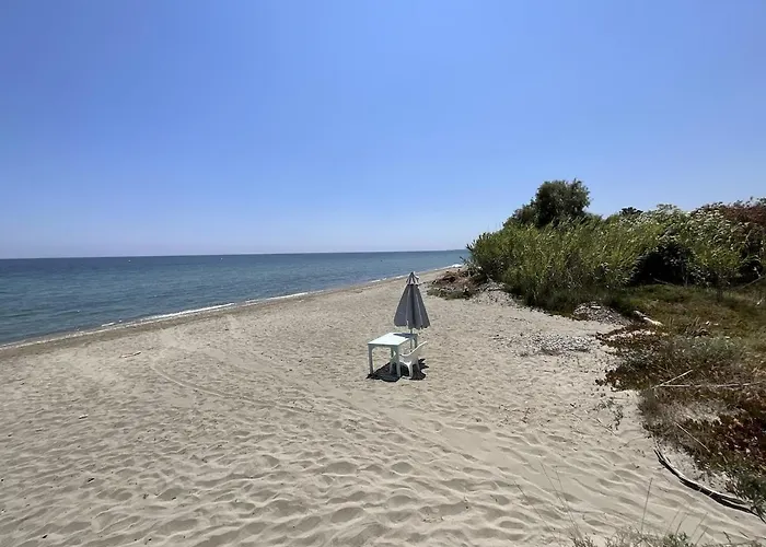 Apartman Cosy Avec Wifi En Bord De *