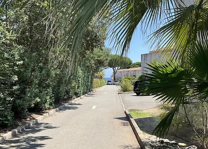 Cosy Avec Wifi En Bord De Poggio-Mezzana